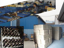 鎖具制造的藝術與科技 探訪中山市小欖鎮燊和五金制品廠的機械設備創新