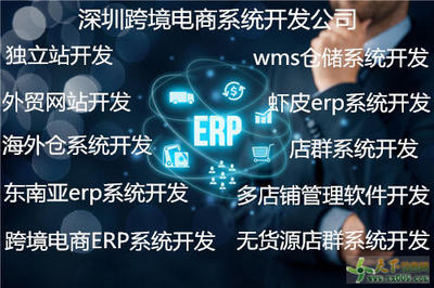 WMS倉(cāng)儲(chǔ)系統(tǒng)開發(fā)與定制 構(gòu)建智慧物流的核心引擎